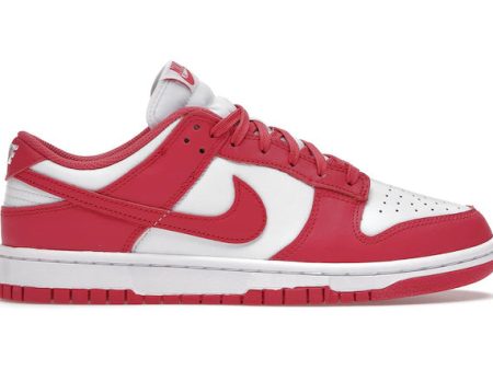 Nike Dunk Low Archeo Pink (Women s) Hot on Sale