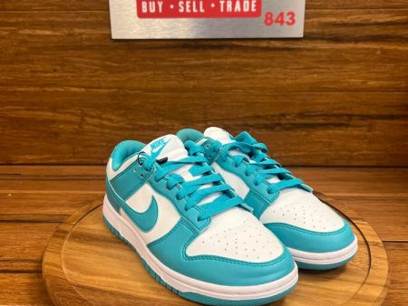 Nike Dunk Low Next Nature Dusty Cactus (Women s) Hot on Sale