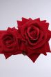 DOLCE VITA ROSE HAIR CLIP Online